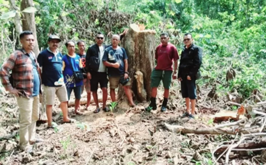 Lima Kepala Desa di Laenmanen Bersatu Selamatkan Hutan Lindung Mau Asa dan Uabau dari Illegal Logging